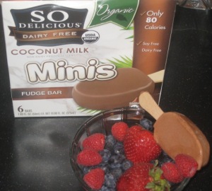 SO Delicious Coconut Milk Fudge Bar Minis